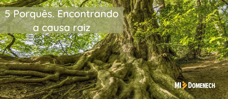 causa raiz